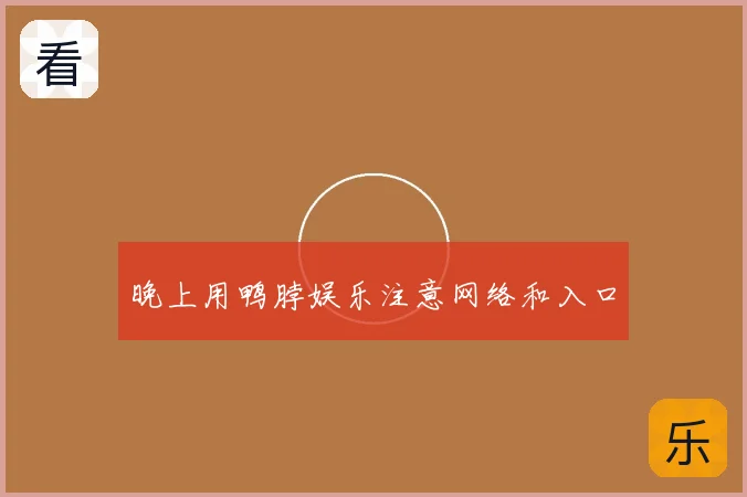 晚上用鸭脖娱乐注意网络和入口